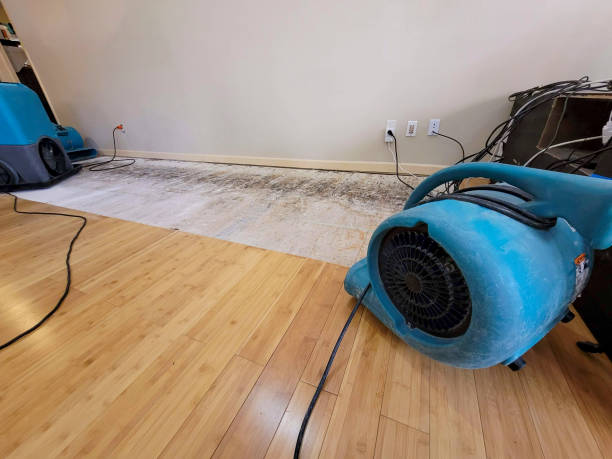 Professional Water Damage Repair technician working in Cornelia, GA